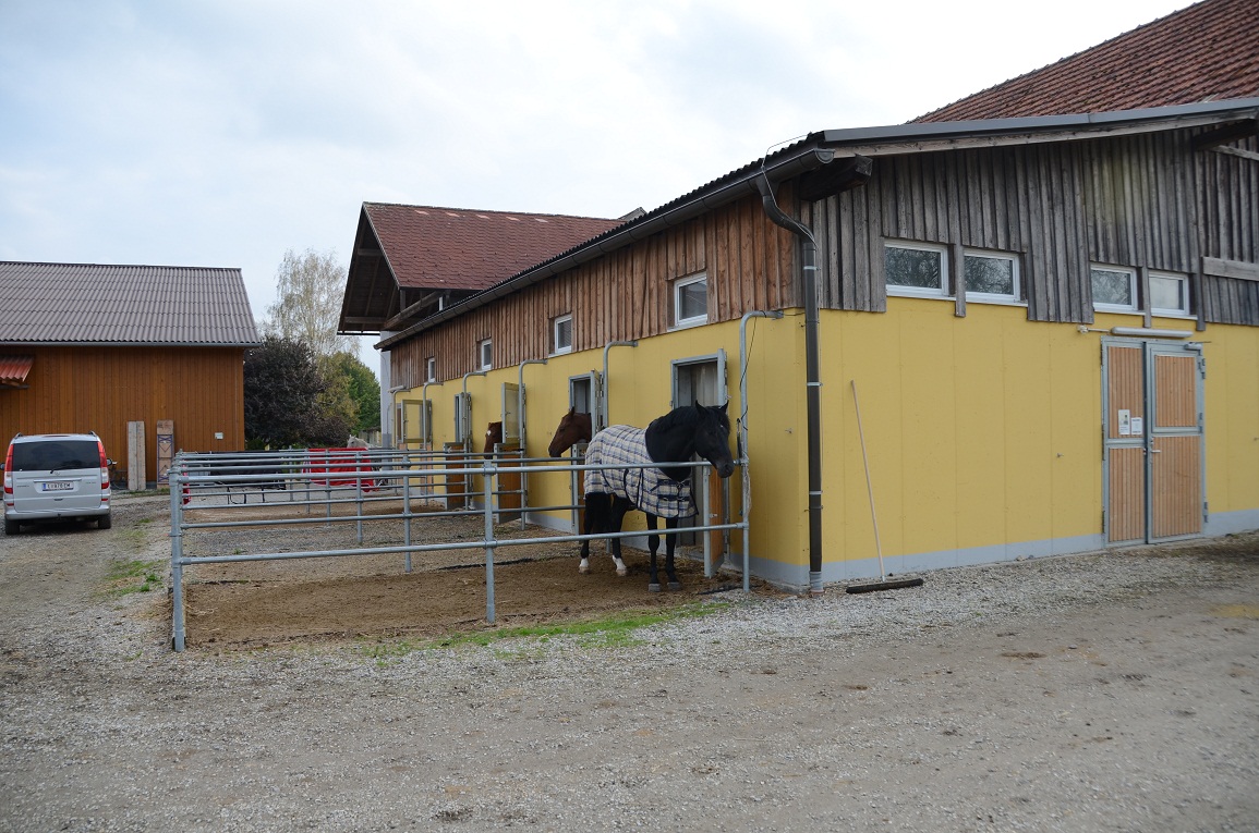 Großer Stall